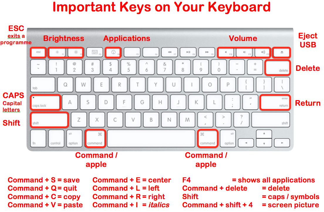 use function keys with mac for excel